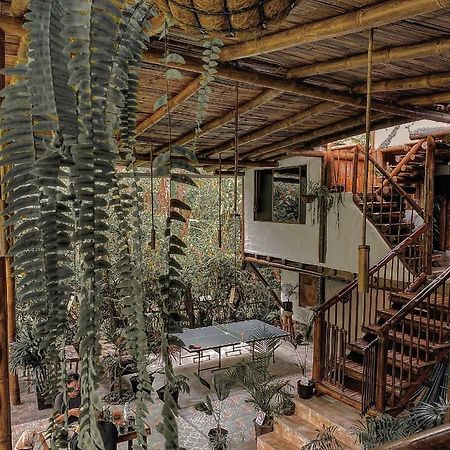 Cinnamon House Mindo Zewnętrze zdjęcie