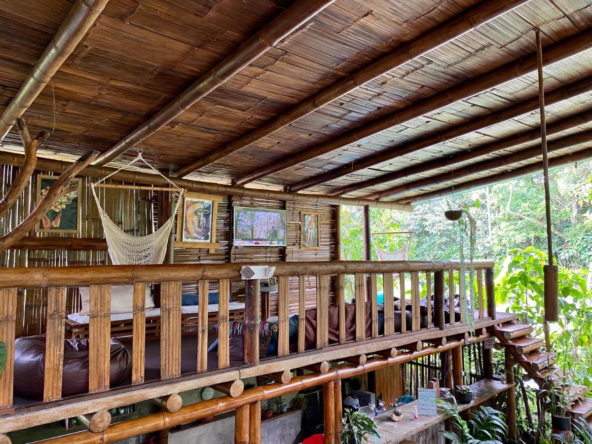 Cinnamon House Mindo Zewnętrze zdjęcie
