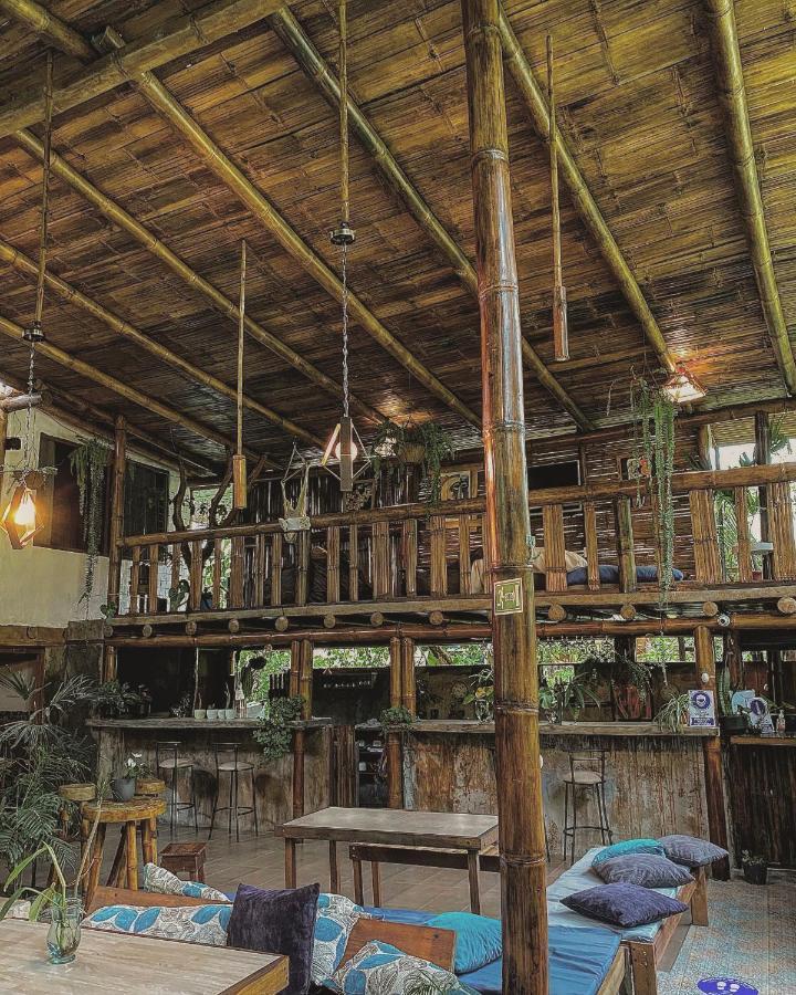 Cinnamon House Mindo Zewnętrze zdjęcie